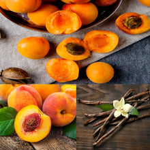 Load image into Gallery viewer, Apricot Peach Vanilla