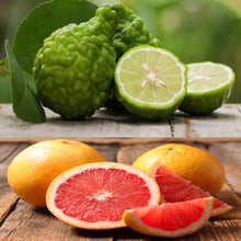 Load image into Gallery viewer, Bergamot Grapefruit