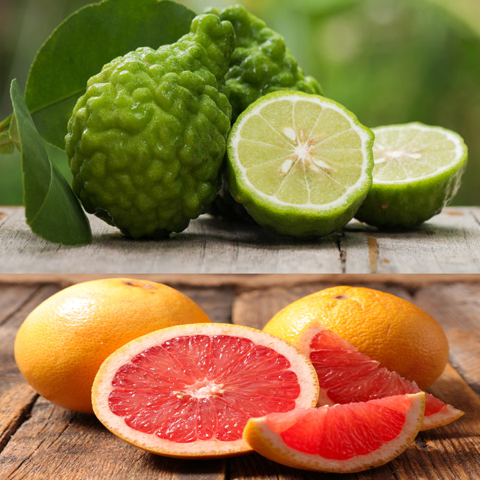 Bergamot Grapefruit