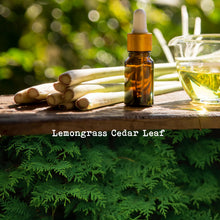 Load image into Gallery viewer, Lemongrass Cedar Leaf