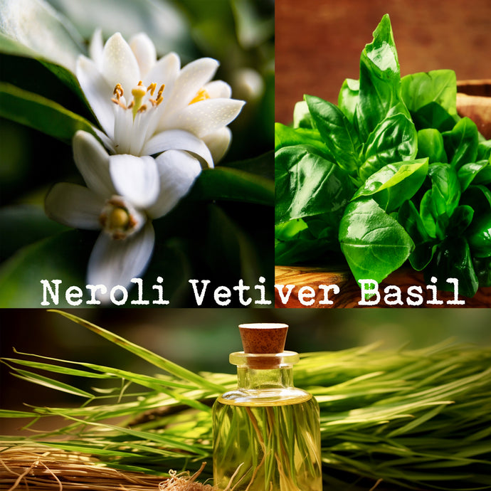 Neroli Vetiver Basil