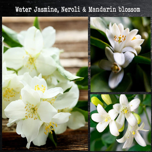 Water Jasmine, Neroli & Mandarin blossom
