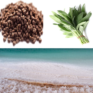 Wood Sage & Sea Salt