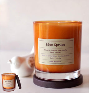 Blue Spruce